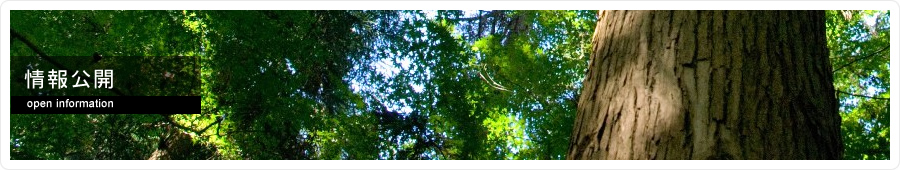公開情報